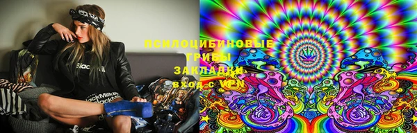 прущий лед Верея