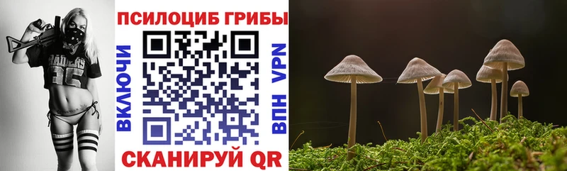 Галлюциногенные грибы Psilocybine cubensis  hydra онион  Грозный 