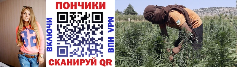 купить наркотики сайты  hydra маркетплейс  МАРИХУАНА индика  Грозный 